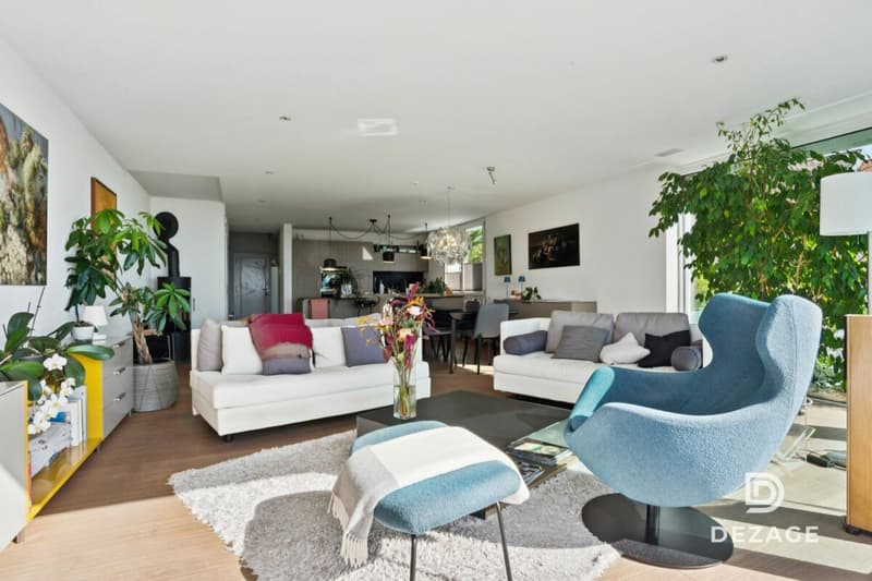 Magnifique duplex esprit maison avec ascenseur direct, jardin et vue imprenable sur le Lac ! (5)