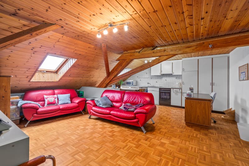 Ampia casa familiare nel cuore del villaggio di Vallamand (6)