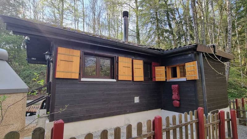 Weekend chalet in a quiet area of Lausanne (8)