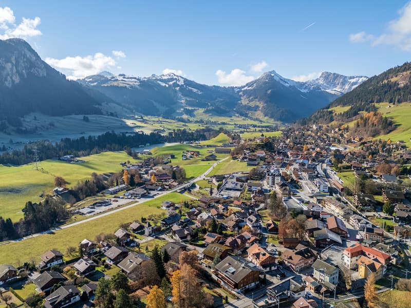 Apartment 4.5 rooms with panoramic view, 20 minutes from Gstaad (12)