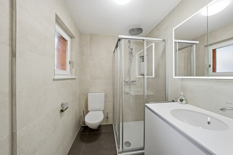 Apartment 4.5 rooms with panoramic view, 20 minutes from Gstaad (5)