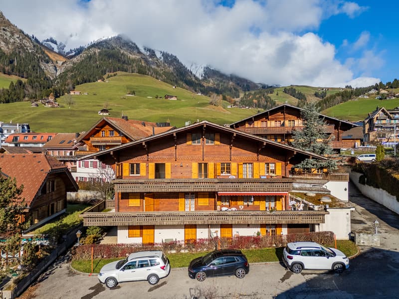 Apartment 4.5 rooms with panoramic view, 20 minutes from Gstaad (9)