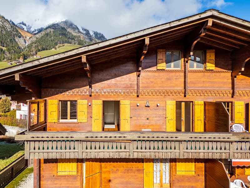 Apartment 4.5 rooms with panoramic view, 20 minutes from Gstaad (11)