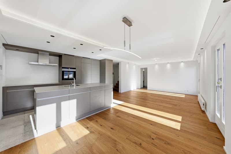 Apartment 4.5 rooms with panoramic view, 20 minutes from Gstaad (1)
