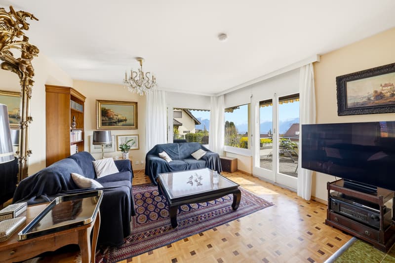 Apartment with 4.5 rooms, garden, lake view and mountain view (5)