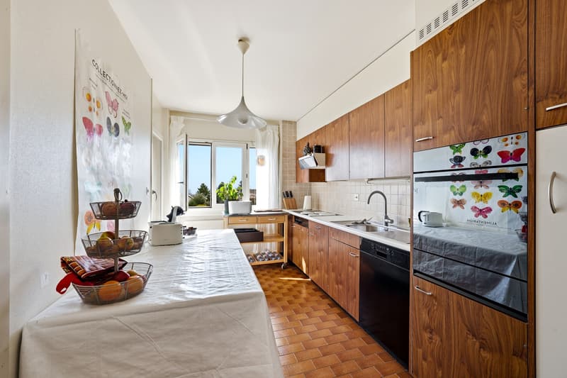 Apartment with 4.5 rooms, garden, lake view and mountain view (4)