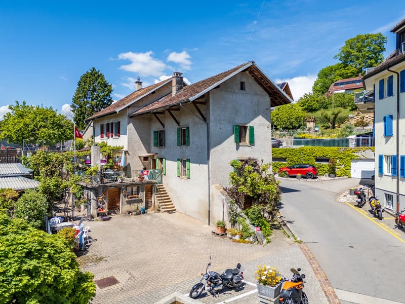 Character village house to renovate (1)