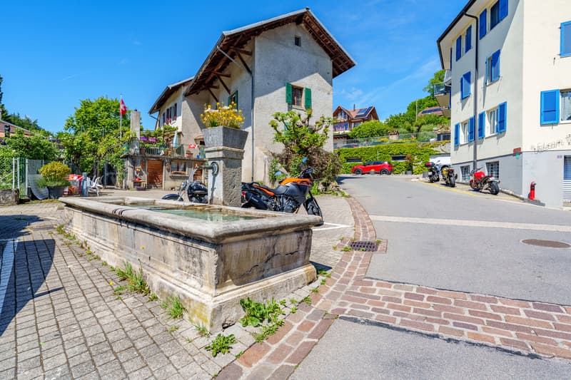 Character village house to renovate (2)