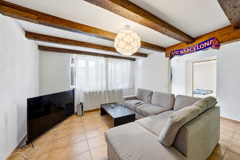 Renovated village house with 2 apartments (5)