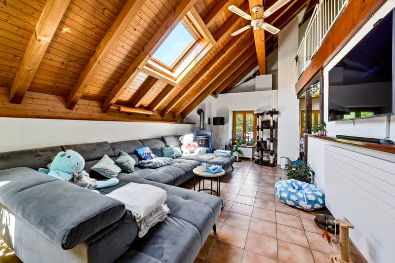 Renovated village house with 2 apartments (9)