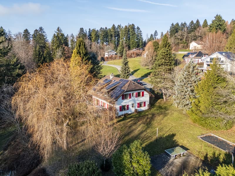 Large house with two apartments and potential for expansion (2)