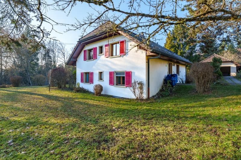 Large house with two apartments and potential for expansion (1)