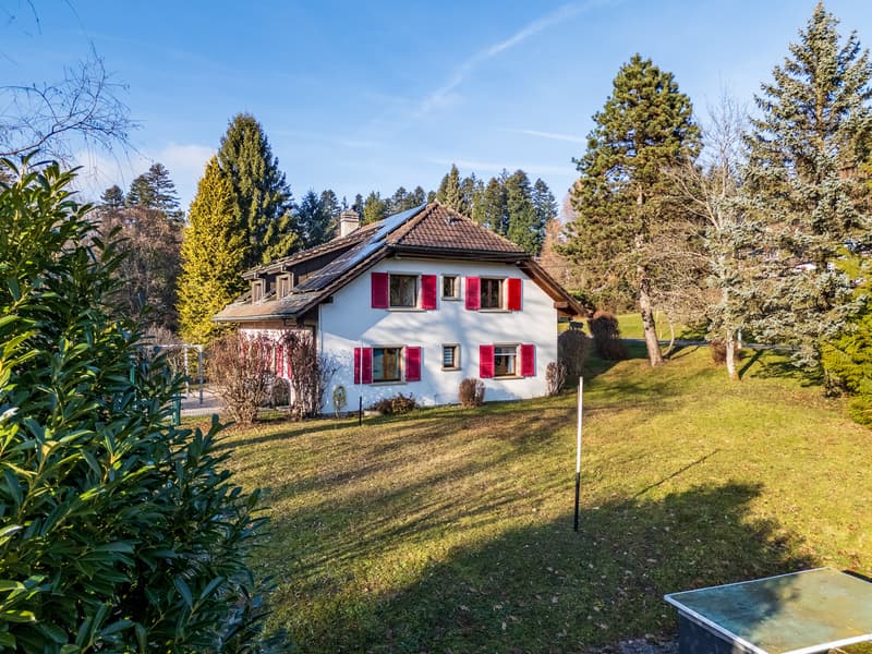 Large house with two apartments and potential for expansion (3)