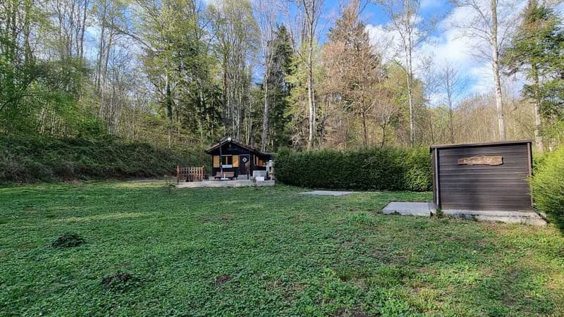 Weekend chalet in a quiet area of Lausanne (11)