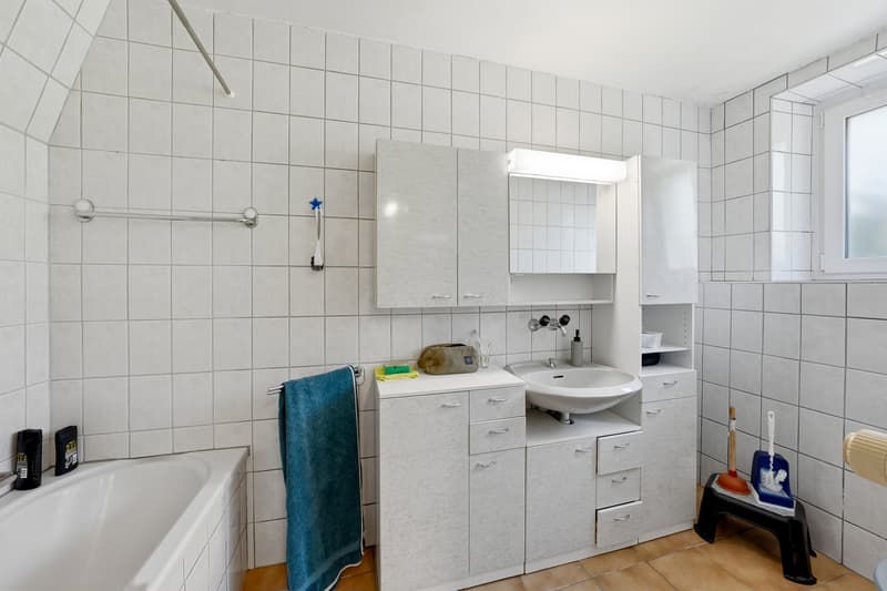 Renovated village house with 2 apartments (7)