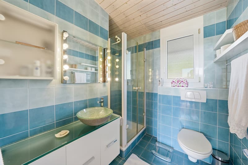 Spacious semi-detached house with a view of the lake (9)