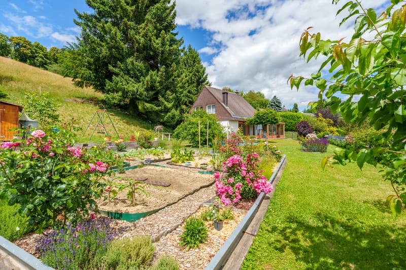 Superbe villa familiale de 5.5 pièces avec grand jardin et vue dégagée (3)