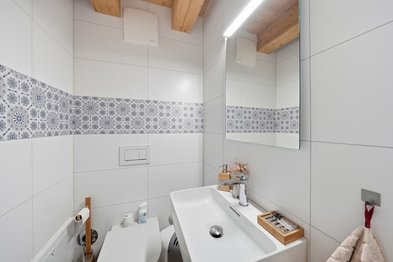 Wohnung mit 4,5 Zimmern in einem renovierten Bauernhaus im Triplex (9)
