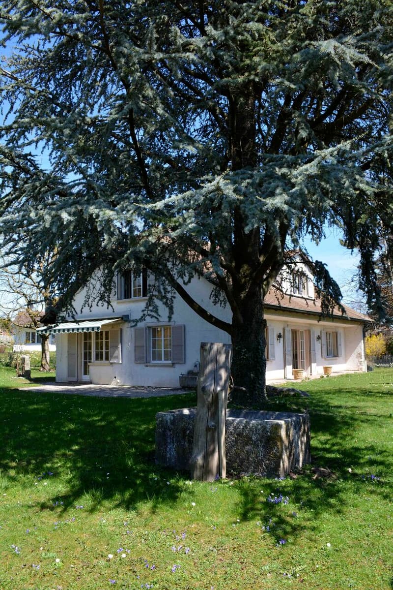 Geräumige Villa mit 6.5 Zimmern in der Nähe aller Annehmlichkeiten (2)