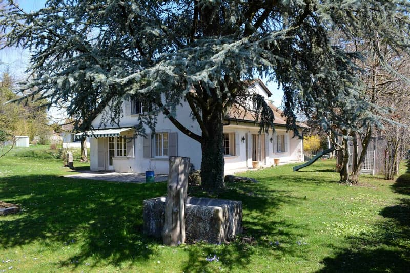 Geräumige Villa mit 6.5 Zimmern in der Nähe aller Annehmlichkeiten (4)