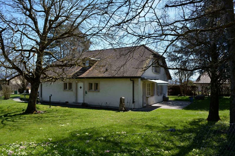 Geräumige Villa mit 6.5 Zimmern in der Nähe aller Annehmlichkeiten (3)