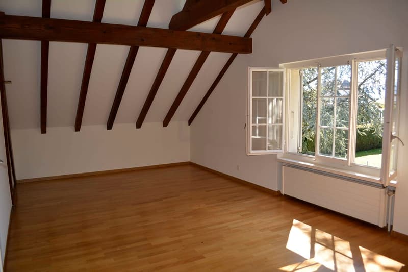Geräumige Villa mit 6.5 Zimmern in der Nähe aller Annehmlichkeiten (13)