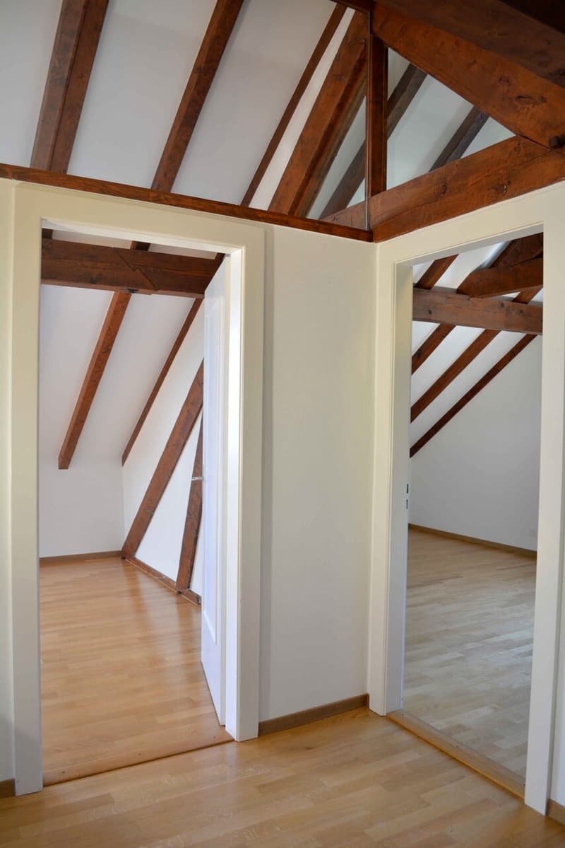 Geräumige Villa mit 6.5 Zimmern in der Nähe aller Annehmlichkeiten (12)
