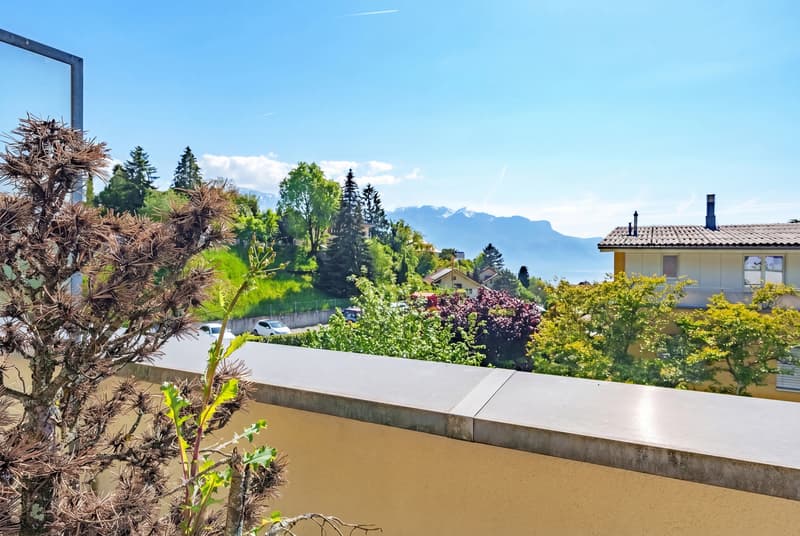 Grande casa con vista sul Lago di Ginevra (4)