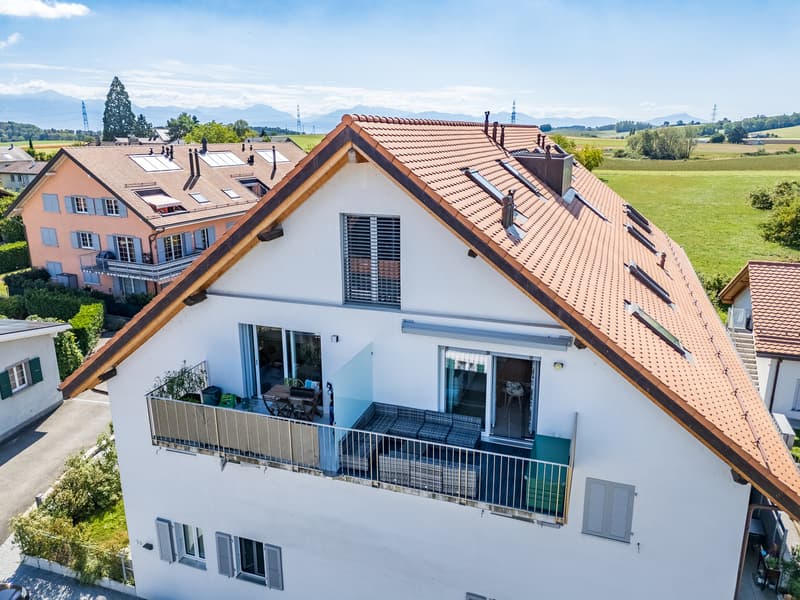 Appartement de charme de 2,5 pièces dans une ferme entièrement rénovée (2)