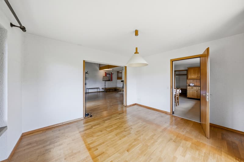Maison individuelle sur grande parcelle avec échappée sur le lac (6)