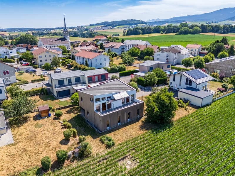 Villa individuelle d'architecte avec magnifique vue sur le Moléson (1)