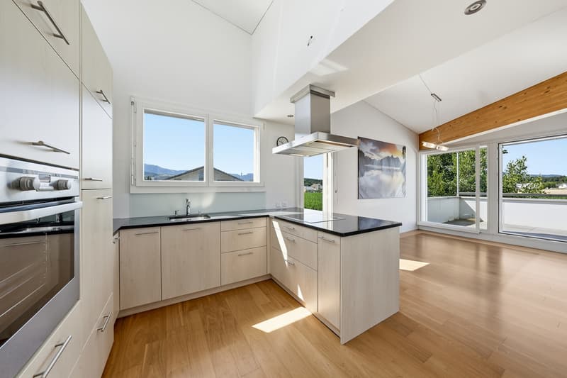 Villa individuelle d'architecte avec magnifique vue sur le Moléson (5)