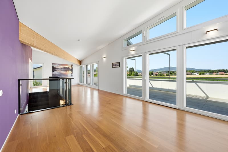 Villa individuelle d'architecte avec magnifique vue sur le Moléson (4)