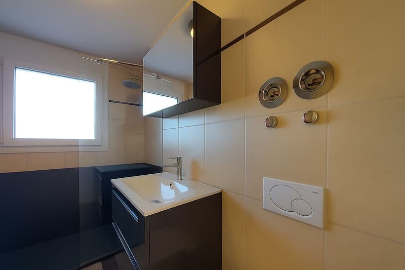 Appartement en attique bénéficiant d'une spacieuse terrasse et d'un garage double (10)