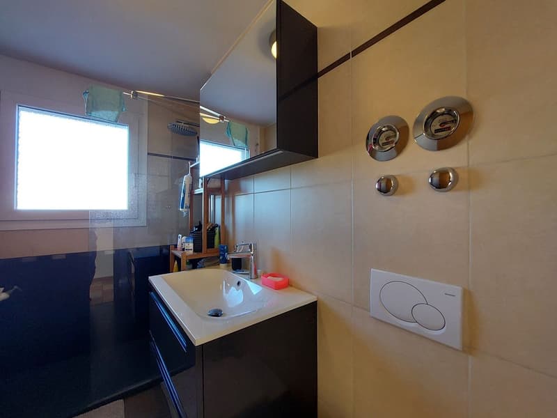 Appartement en attique bénéficiant d'une spacieuse terrasse et d'un garage double (8)