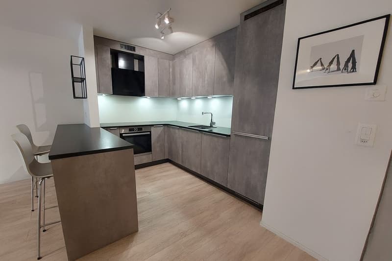Appartement moderne de 3,5 pièces bénéficiant d'une terrasse et d'un garage (2)