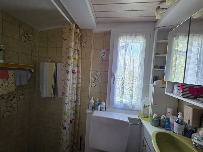Deux chalets implantés sur une vaste parcelle ensoleillée (9)