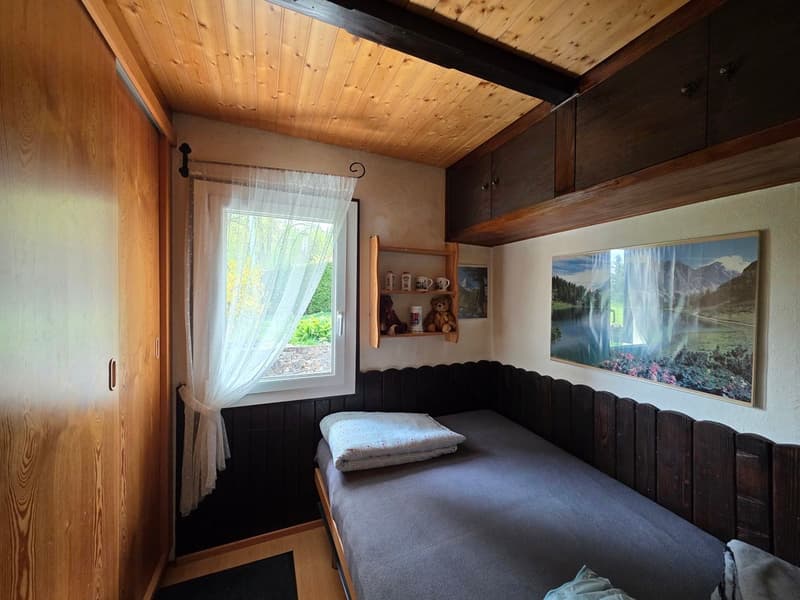 Deux chalets implantés sur une vaste parcelle ensoleillée (7)