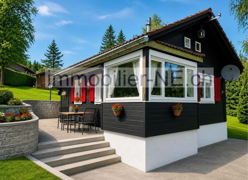 Deux chalets implantés sur une vaste parcelle ensoleillée (1)