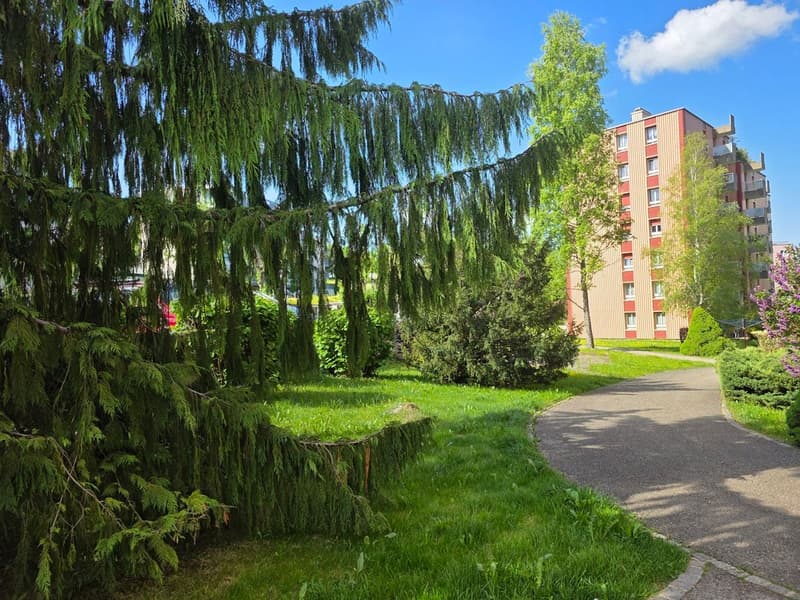 Appartement lumineux de 5,5 pièces avec ascenseur et garage (10)