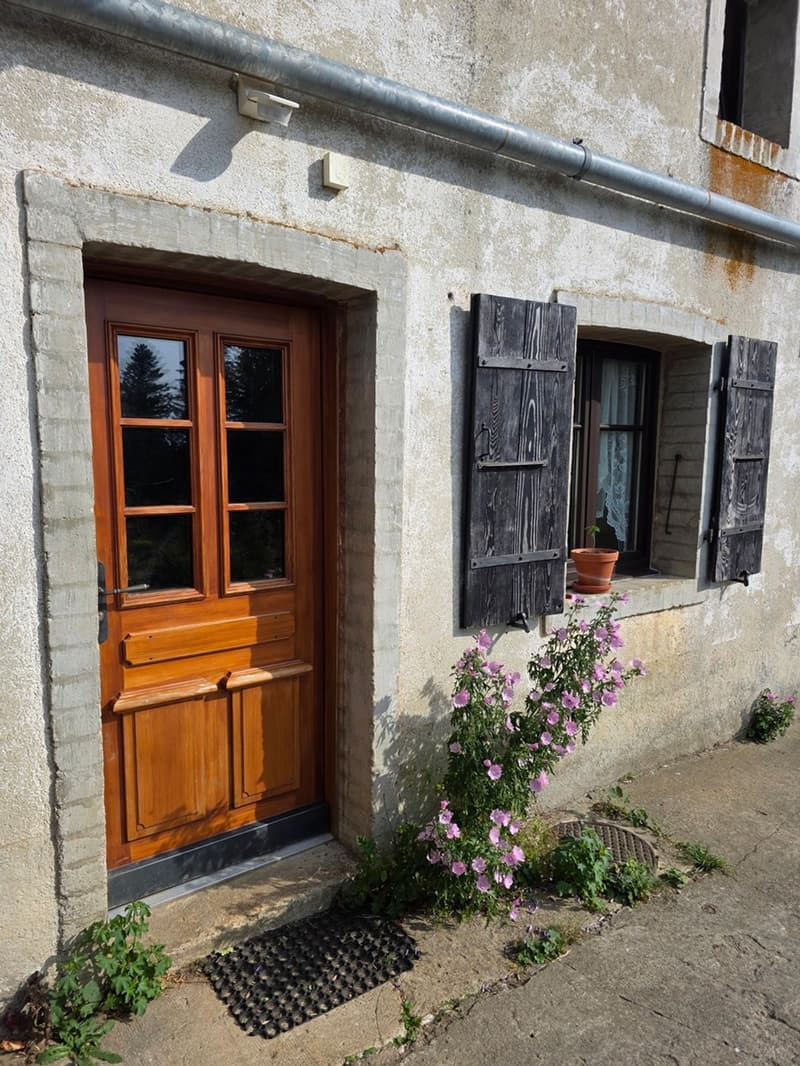 Charmante ferme rénovée avec un magnifique grand jardin (4)