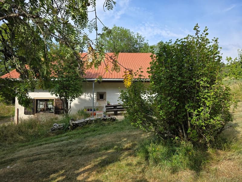 Charmante ferme rénovée avec un magnifique grand jardin (2)