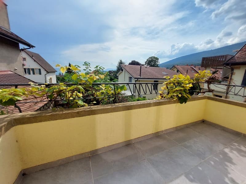 Maison villageoise avec jardin offrant deux appartements et un espace commercial (5)
