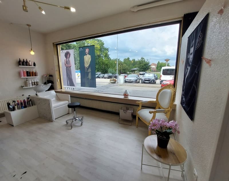 Maison villageoise avec jardin offrant deux appartements et un espace commercial (2)