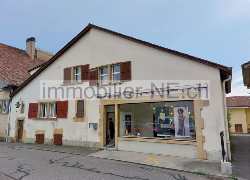 Maison villageoise avec jardin offrant deux appartements et un espace commercial (1)