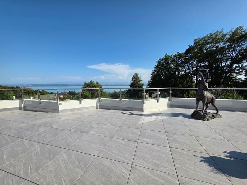 Villa Terrasse de 5,5 pièces avec vue époustouflante sur le lac et les Alpes (2)