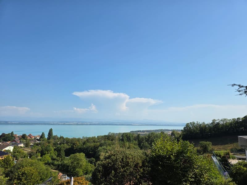 Villa Terrasse de 5,5 pièces avec vue époustouflante sur le lac et les Alpes (3)