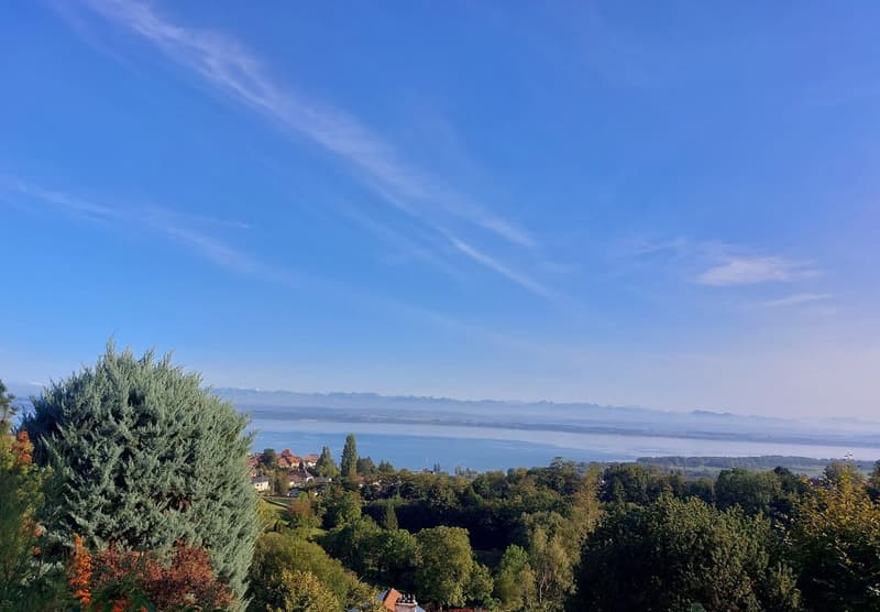 Villa Terrasse de 5,5 pièces avec vue époustouflante sur le lac et les Alpes (4)