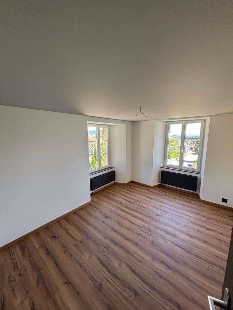 Magnique Duplex Avec Terasse (7)