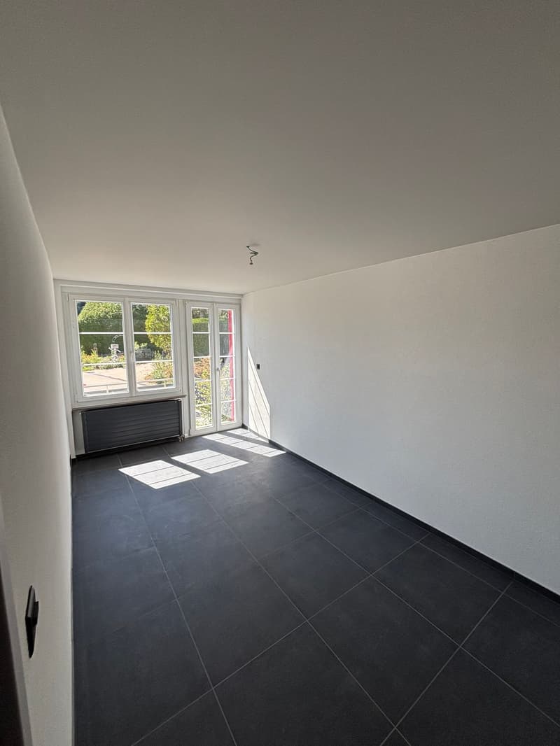 Magnique Duplex Avec Terasse (4)